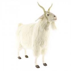 4625 Турецкая коза, 105 см