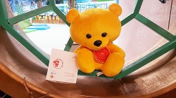 Свой выбор за лучшие игрушки среди лауреатов премии "Золотой медвежонок" сделали дети и родители!